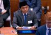 Di Forum PBB, Pemerintah Sampaikan Penurunan Kebakaran Hutan hingga Pengakuan Hutan Adat